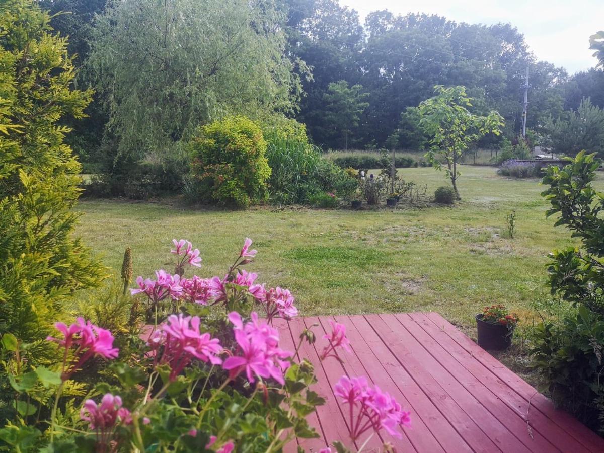 Apartamenty Zielona Gora ภายนอก รูปภาพ