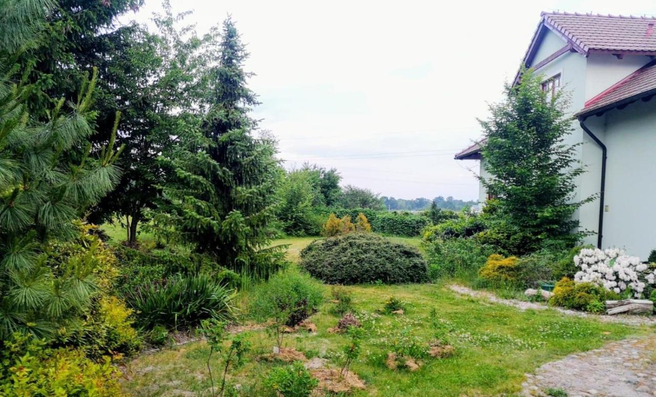 Apartamenty Zielona Gora ภายนอก รูปภาพ