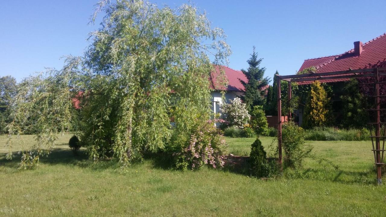 Apartamenty Zielona Gora ภายนอก รูปภาพ